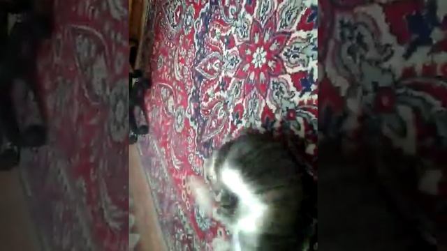 Кота брейк смотреть онлайн