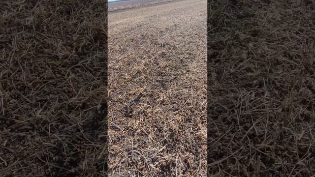 ??Заготовка на зиму (соя)?? смотреть онлайн