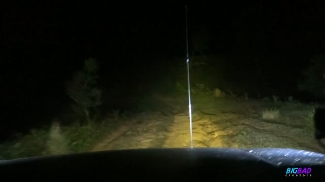 Radar Renegade RT+ Tire Review 2021 | First 1000km