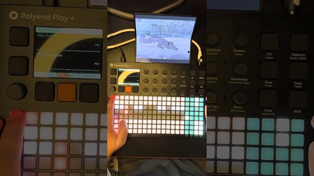 Minimal Techno Jam -Polyend Play