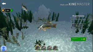 Обучение ловли крупной форели и форелиокуня в игре "Ultimate Fishing Simulator"
