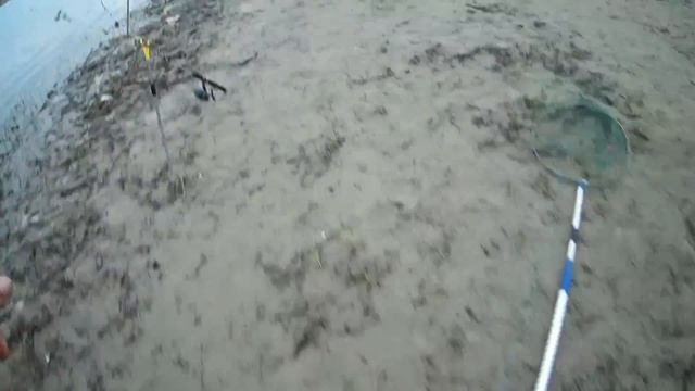 Рыбалка на Иртыше в Омске. Июнь 2018 смотреть онлайн