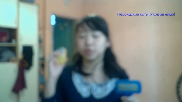 Копия видео "Персы и экзоты" смотреть онлайн