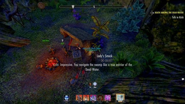 ESO Guide: Death Among The Dead-Water - How To Reach Kishi Murkmire смотреть онлайн