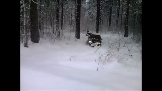 на карибе по снежному лесу 2012.wmv смотреть онлайн