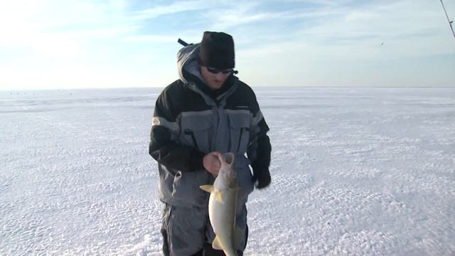 Ice Fishing on Lake Erie -- BCSN Local Catch смотреть онлайн