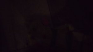 1000003292.mp4утя