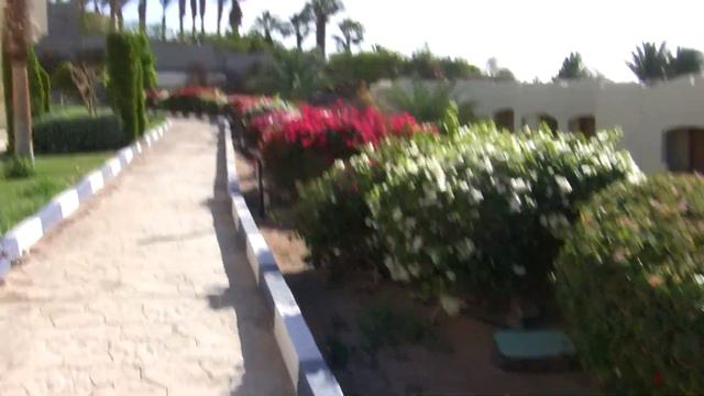GRAND OASIS resort 4* $200, а что вы хотели смотреть онлайн