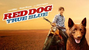 Рыжий пёс. Самый верный | Red Dog: True Blue (2016)