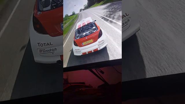 ChampionDude3 Gaming: Peugeot 207 Super 2000 - Forza Horizon 4 смотреть онлайн