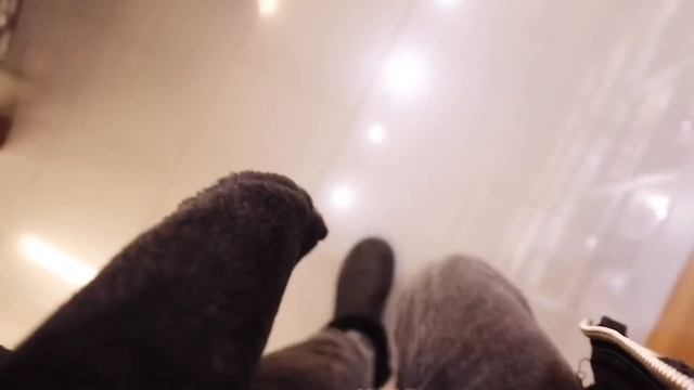 КАК ПОДГОТОВИТЬСЯ К ЭКЗАМЕНУ ЗА 24 ЧАСА? смотреть онлайн