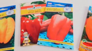 Сладкий перец на Среднем Урале