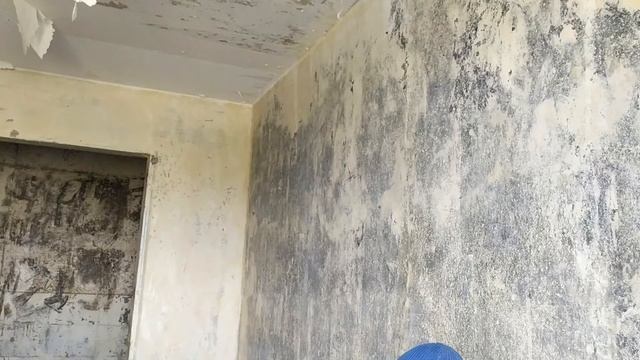 Валик против краскопульта. Что лучше? смотреть онлайн