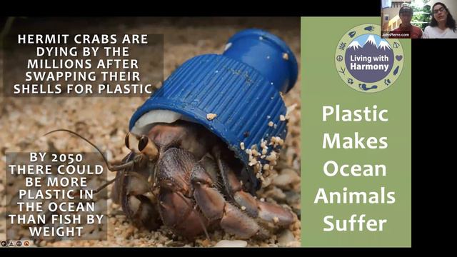 PLANET-Based Living with John Pierre and Andrea Rose смотреть онлайн