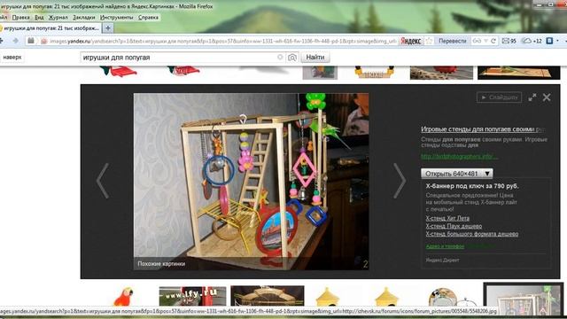 Игрушки для попугая смотреть онлайн