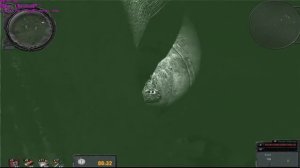 НАРОДНАЯ СОЛЯНКА Тайники Коллекционера. Армейские Склады.