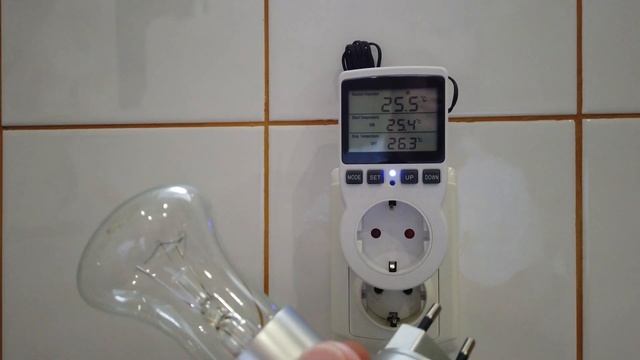 Розетка терморегулятор для обогрева пальм! смотреть онлайн