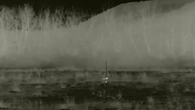 Термални прицели IRay модели 2022г. Лов на хищници ! смотреть онлайн