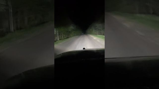 Нижегородские леса смотреть онлайн