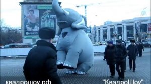 Надувной костюм «Слон» для промо-акций от «КвадроШоу»