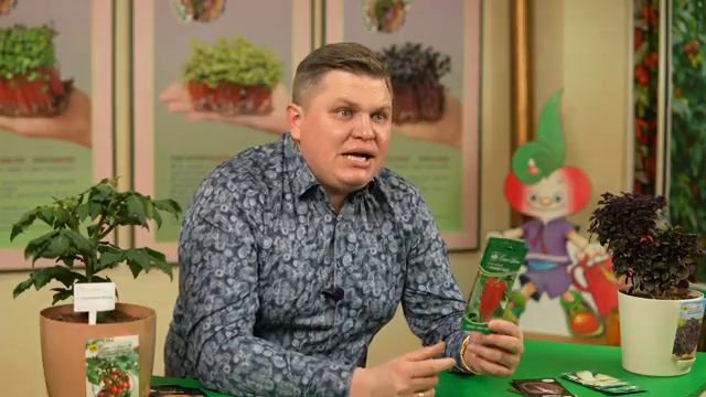 204. Семинар СЕМКО - 3 смотреть онлайн