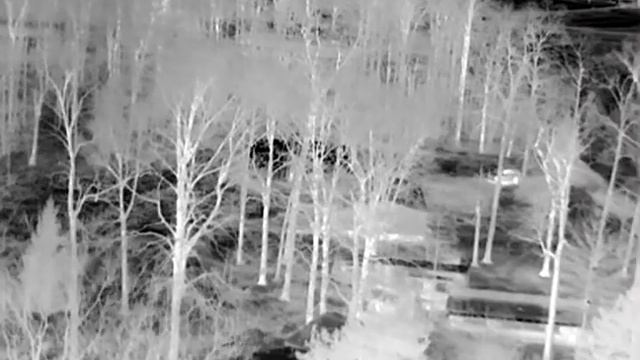OpenHD Thermal Camera (Hti-301) Test 1 смотреть онлайн