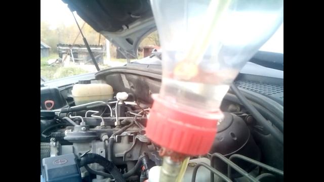 Wynns Kyron смотреть онлайн