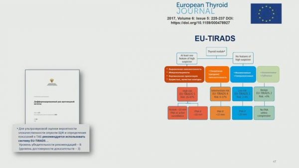 Е.П. Фисенко. Классификация TI-RADS. Подробно все!