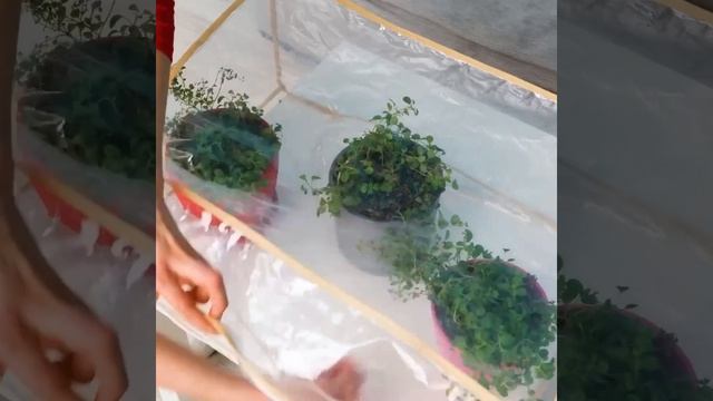 ПОЛЕЗНЫЕ ЛАЙФХАКИ И ГАДЖЕТЫ, КОТОРЫЕ ЗНАЧИТЕЛЬНО ОБЛЕГЧАТ ВАМ ЖИЗНЬ смотреть онлайн