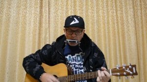 Гитара и гармошка попурри на песни «Beatles» )