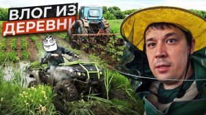 Трактор т40, пчелы и заброшенный гараж / ТЕСТ-ДРАЙВ Sharmax 650 против РМ 650