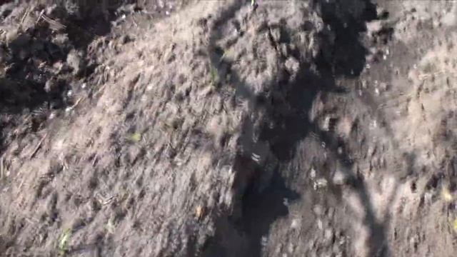 Мой огород на 11 мая смотреть онлайн