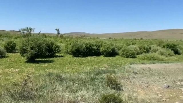 Межхозяйственное охотустройство , планирование охотничьего хозяйства. смотреть онлайн