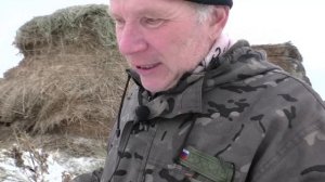 Почему сгнивает сено неправильное складирование рулонов сена