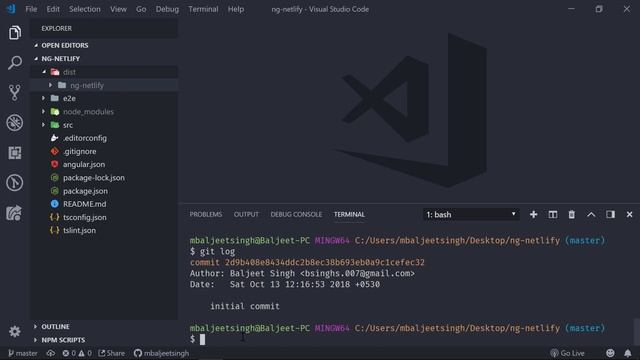 Deploy Angular 6 Applications to Netlify Hosting смотреть онлайн