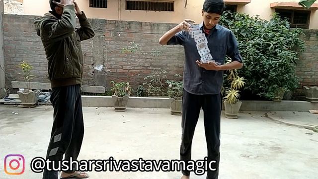 HOW PEOPLE REACT TO CARD SPRINGS?? MIWT смотреть онлайн