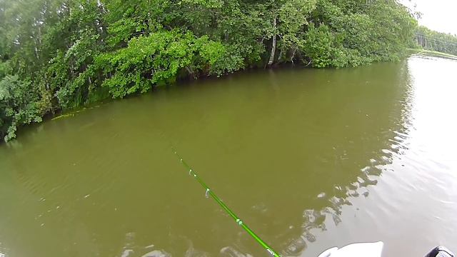 Отличный клёв голавля. "Белые" хищники реки Кюмийоки. смотреть онлайн