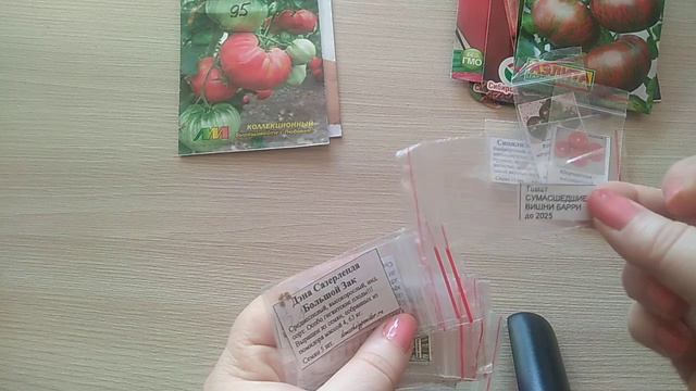 Эти томаты обязательно посажу в 2024 году #томаты #помидоры #томатывтеплице смотреть онлайн
