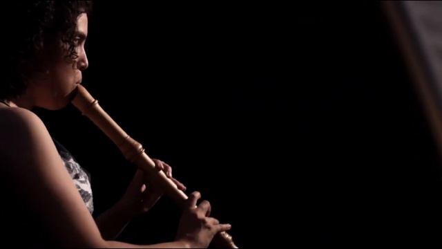 Telemann recorder sonata TWV 41:C5 Adagio-Allegro смотреть онлайн