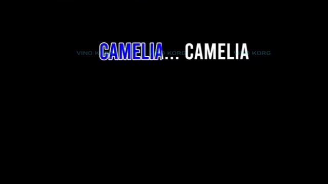 karaoke dangdut CAMELIA 2 vocal pria смотреть онлайн