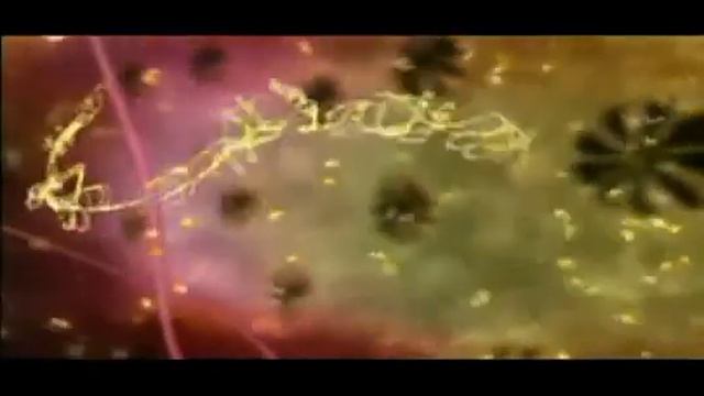 Transcription and Translation смотреть онлайн