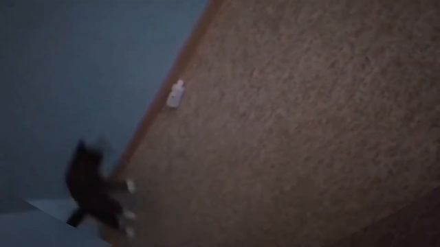 Ты будешь меня любить смотреть онлайн