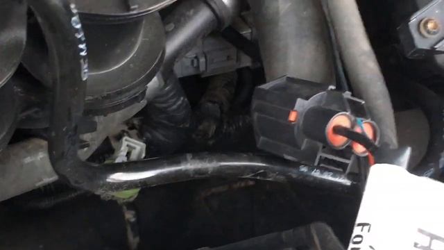 Не работает вентилятор радиатора Ford Focus 2? Одна из причин - блок управления.