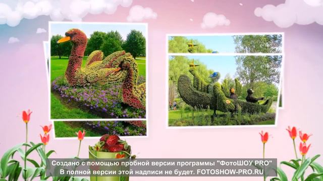 Чудо из цветов смотреть онлайн