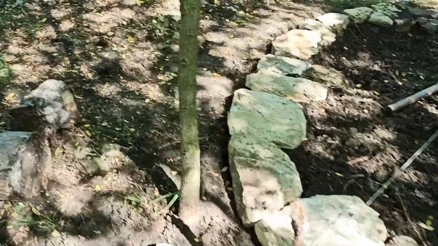 Делаю площадку из камня вокруг очага.Поставила арку.Обзор дачи.Ипомея квамоклид-первый цветочик) смотреть онлайн