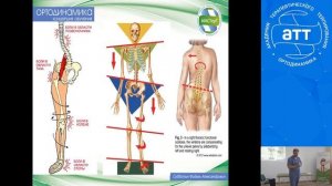 Субботин Ф. А. Мастер класс. Терапевтическое тейпирование функциональных сколиозов