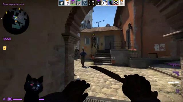 Кот мучает людей в Counter-strike ( ФАСЕТ ) смотреть онлайн