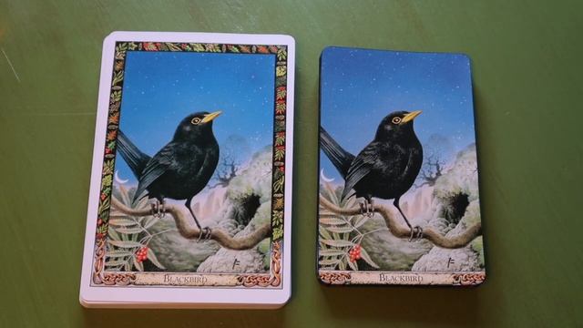 The Druid Animal Oracle - To Trim or Not to Trim - Guidebook Comparison смотреть онлайн