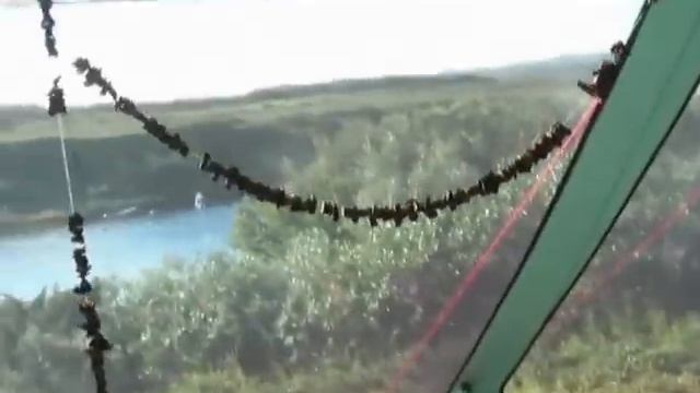 Шикша(оленья ягода)