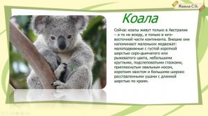 ЗАДАНИЕ №3.2, 3.3.Часть 5. Растения и животные Африки и Австралии.   ВПР, окружающий мир, 4 класс